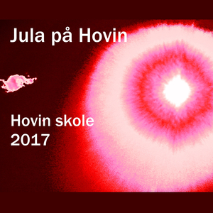 Jula på Hovin