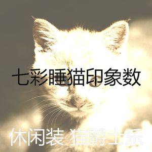 微妙的小猫心情