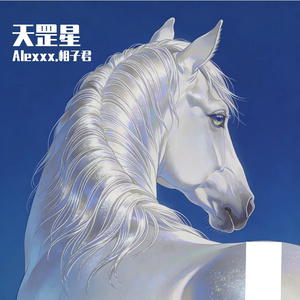 数钱的姑娘_remix