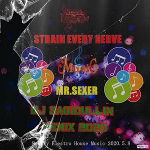 Mr.Sexer-Strain Every Nerve (Dj Sagidullin Remix) [Full]（Mr.Sexer / Dj Sagidullin remix）