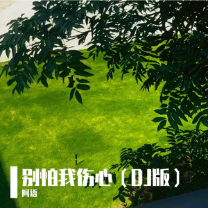 别怕我伤心（DJ版）