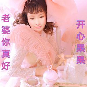 老婆你真好（DJ版）