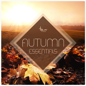 Love (Lorraine Remix)