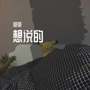 想说的（prod by ZS beatz）