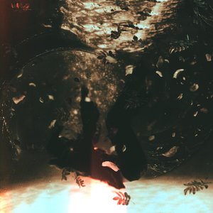 Листья падают