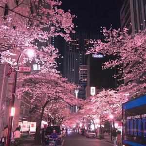 豆花之歌（翻自 锦零）