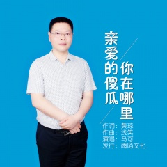 亲爱的傻瓜你在哪里