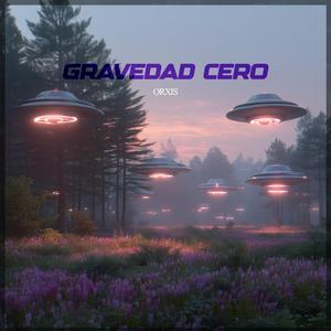 Gravedad Cero