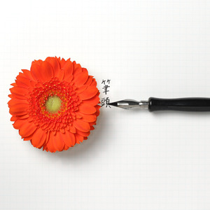 君にはもう、届かないけど