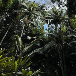 Open Season (feat. Bailon)