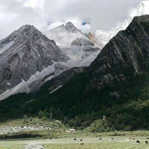 山与鸟