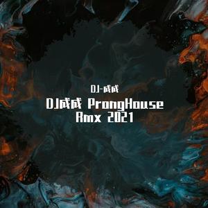 坏女孩DJ（翻自：徐良）