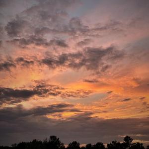 Cellardoor (feat. keneki)