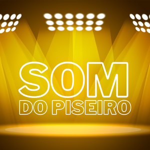 Funk Piseiro