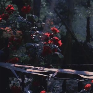 葬礼上的探戈（Prod.By Morrow x wustin)