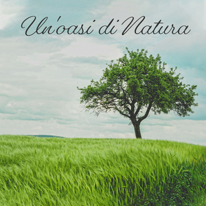 Consapevolezza (Acqua curativa)