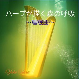 森林浴を彩るソルフェジオの響き