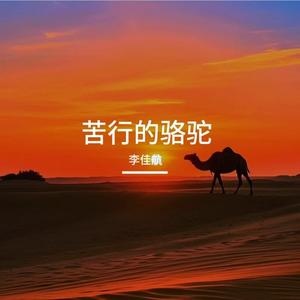 苦行的骆驼