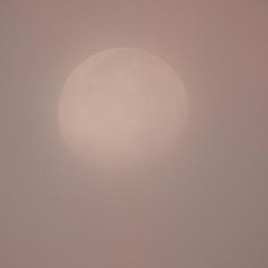 微かな渇き / A Faint Thirst