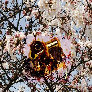 あの日の卒業式