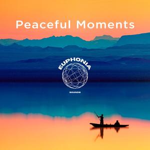 Sonidos Relajantes Del Bosque