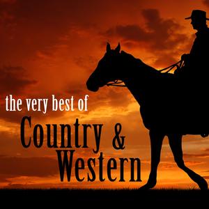 I Can't Help It (If I'm Still in Love with You)