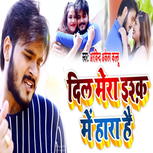 Dil Mera Ishq Me Hara Hai
