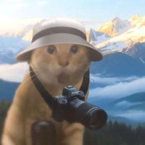 Welcome Home (尼康战歌 哈基米版)