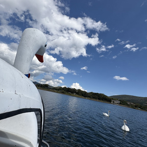 アイワナビーウィズユー