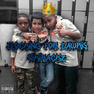 FLOCKING 4 DAWRIS
