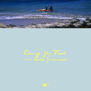 Cause You Feel Like Summer