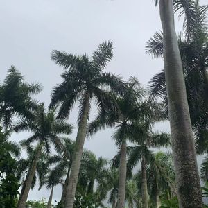 下雨天（prod.by AZYAIRE）