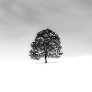 Verum