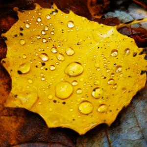 Mille Chemins Vers Toi