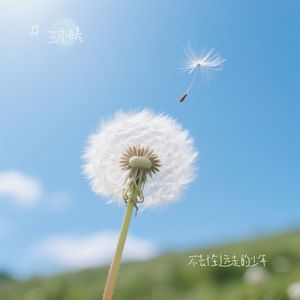 不去怪远走的少年