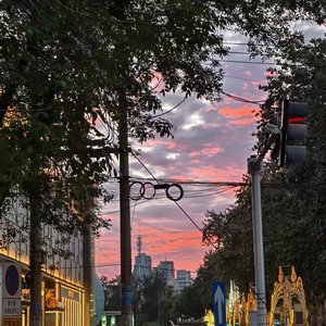 剑心(Cover by 麋鹿nana)