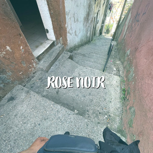 Rose Noir
