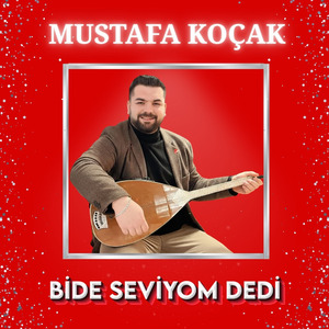Bide Seviyom Dedi