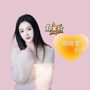 眼睛里的雨