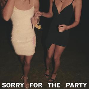 sorry for the party