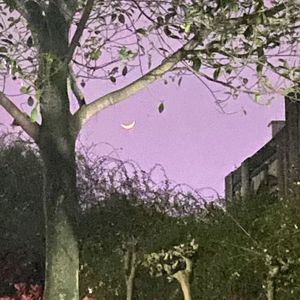 火车（cover：嘎调）