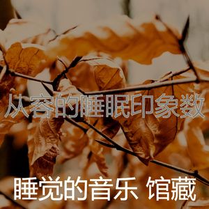 柔和的沉睡时刻