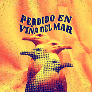 Perdido en Viña del Mar