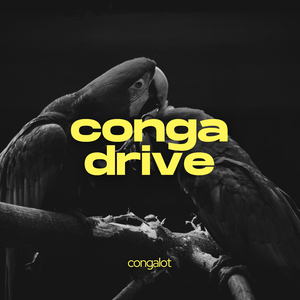 conga drive