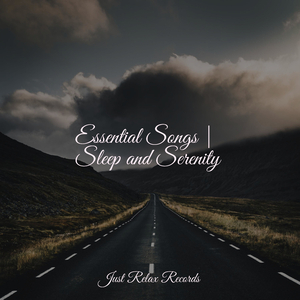 Blissful Journey through Stillness