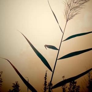 印第安人的天空