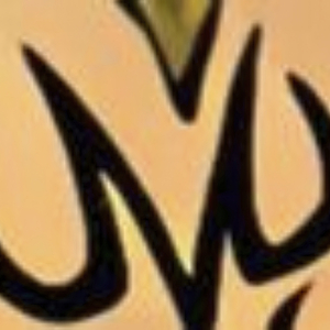 Prince of Destruction (We Saiyans Have No Limits)