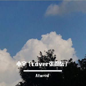 小宇