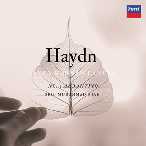 Haydn SGD:Andantino No.3