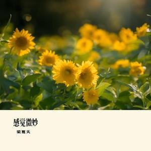 感觉微妙
